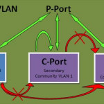 How Private VLANs Work?
