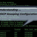 Understanding DHCP Snooping Configuration