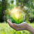 Driving Sustainable Digital Growth: Huawei’s Green ICT Solutions for the Future