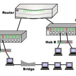 What is the Bridge in Networking?