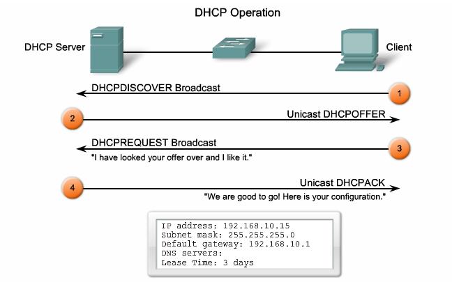 DHCP Operation