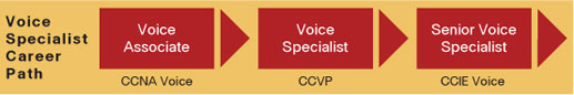 Cisco CCNA Voice Certification