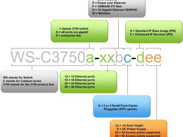 How to Recognize the Different Cisco 3750 Switch Code?