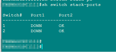 show-switch-stack-ports-keyboardbanger