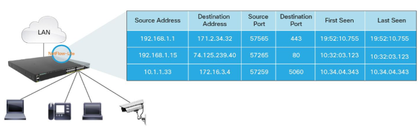 Output from Cisco NetFlow-Lite