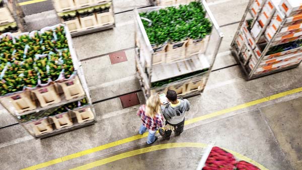 Cisco Catalyst 9000 Family-Technical Deep Dive